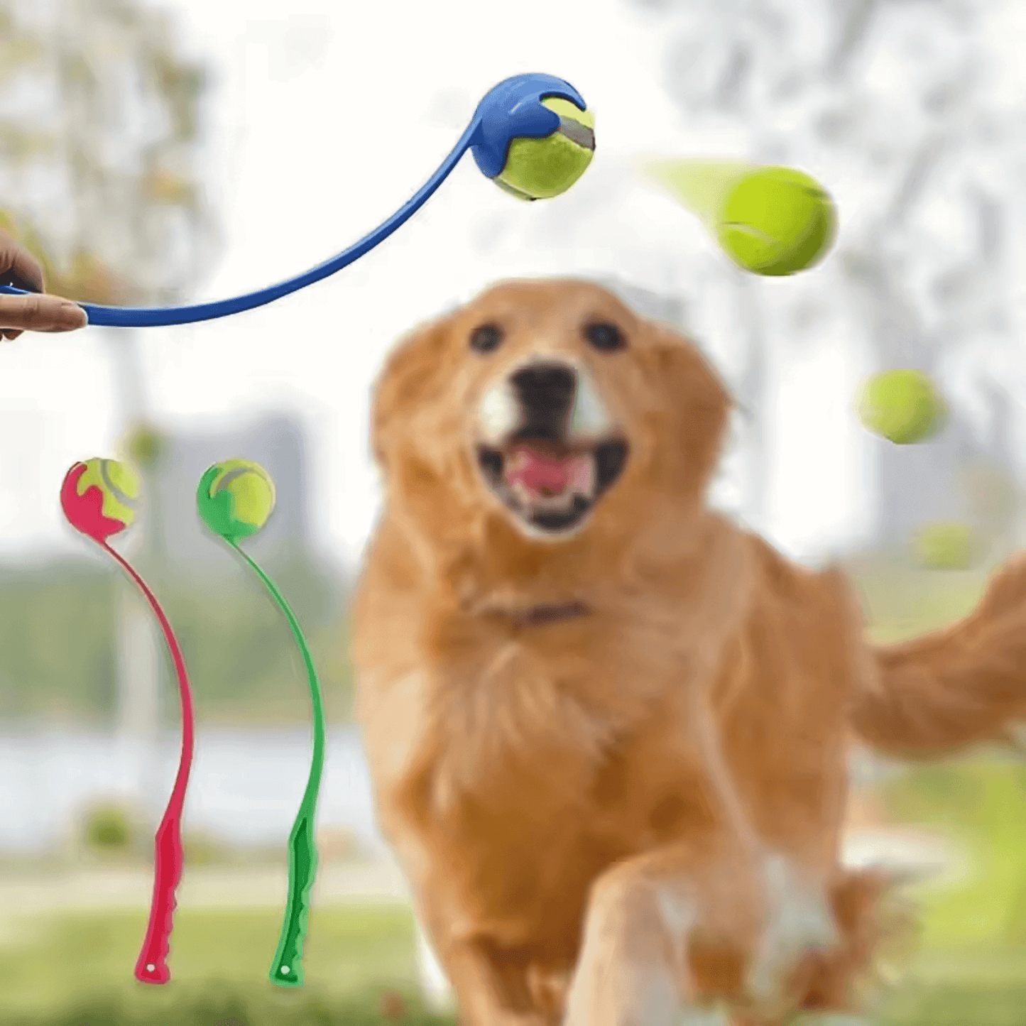 Trotter™ Deluxe Ball Launcher and ball (50cm)